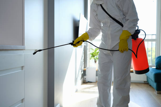 Best Residential Mold Removal  in Marshall, WI
