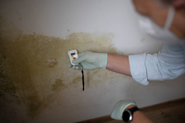 Marshall, WI Mold Removal Company