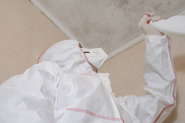 Certified Mold Removal in Marshall, WI