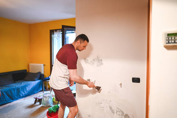 Best Professional Mold Removal  in Marshall, WI