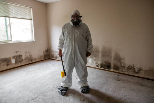 Best Mold Testing  in Marshall, WI